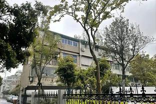 建设第二座专业球场？青岛市体育局局长：会进行可行性研究论证